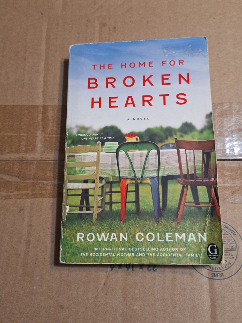 The Home for Broken Hearts